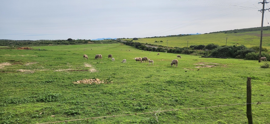 0 Bedroom Property for Sale in Riversdale Rural Western Cape